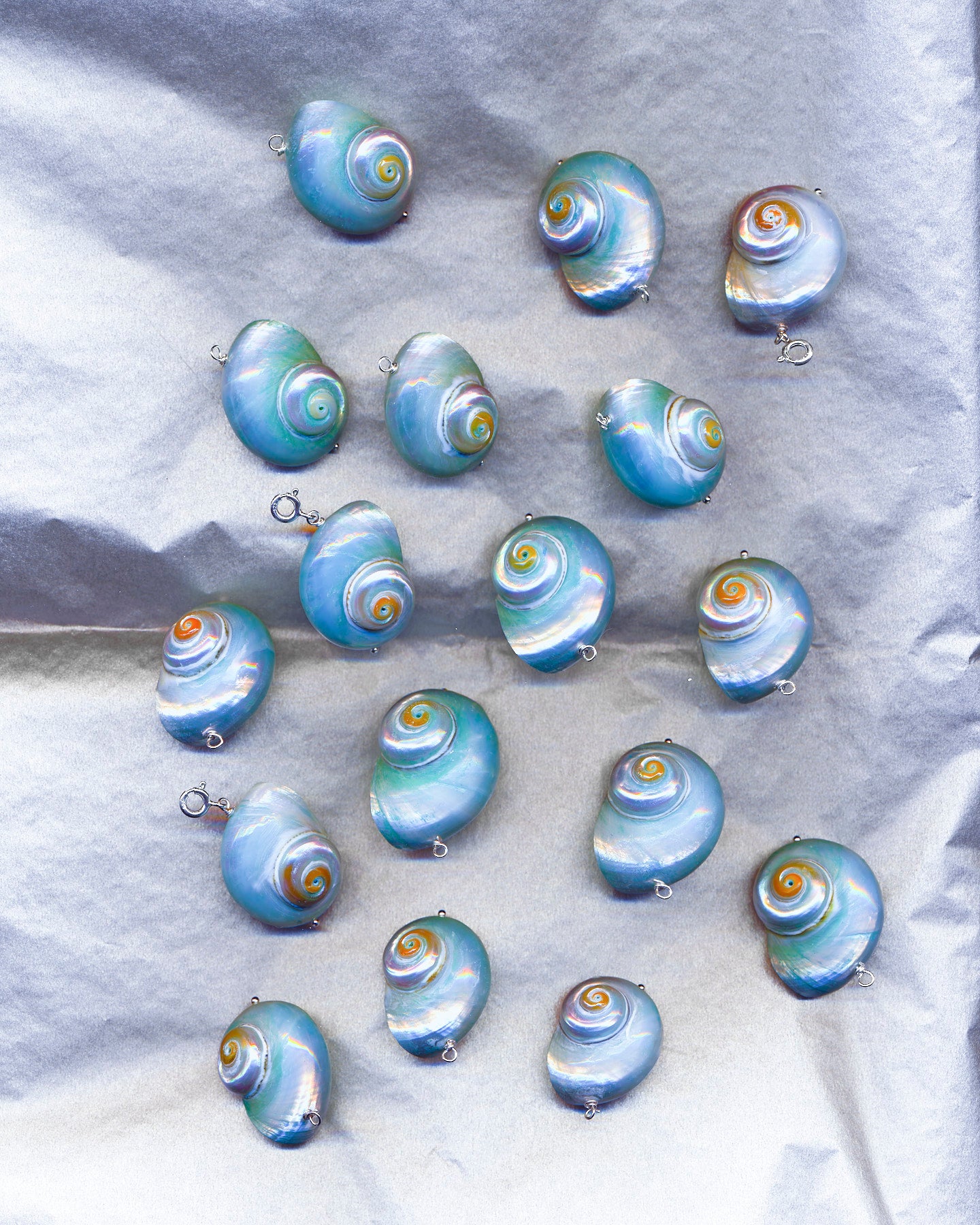 Shell Charm